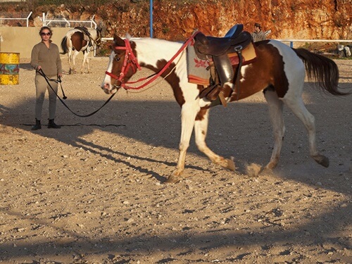 חוות מונפורטויטו